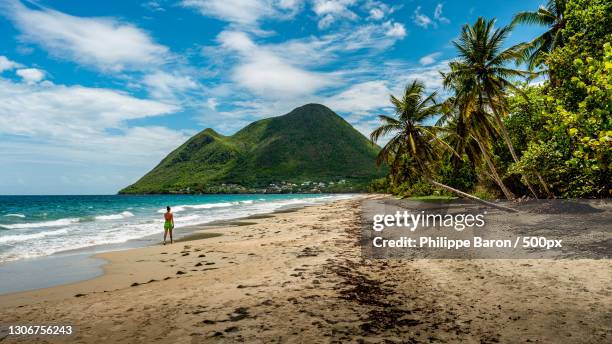 scenic view of beach against sky,le diamant,martinique - martinique foto e immagini stock