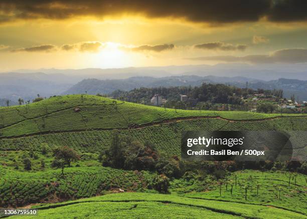 aerial view sunrise mist at sunrise,munnar,kerala,india - munnar stock-fotos und bilder