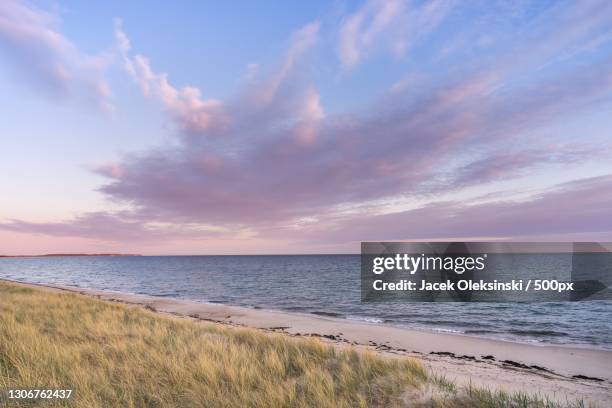 scenic view of sea against sky during sunset - marram grass stock pictures, royalty-free photos & images