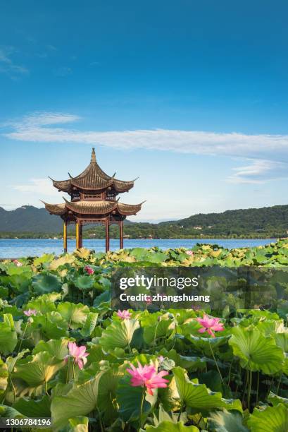 jixian pavilion of hangzhou west lake - oriental garden stock pictures, royalty-free photos & images