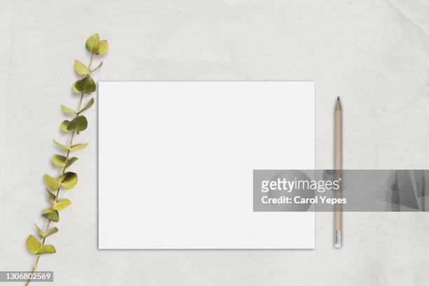 paper blank, eucalyptus branches - notepad white table foto e immagini stock