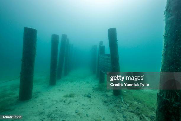 underwater pile building adventure in lake atter - attersee stock pictures, royalty-free photos & images