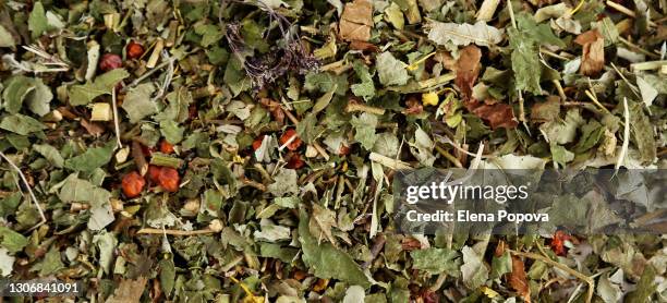 chopped herbal tea collection for healthy lungs - elena collection fotografías e imágenes de stock