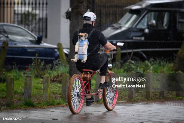 Dog wearing sunglasses is carried on the back of a man as he rides his bicycle near Clapham Common on March 13, 2021 in London, United Kingdom.