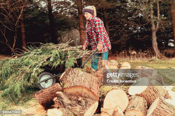 Logging Woman Tree Female Logger Photos and Premium High Res Pictures - Getty Images