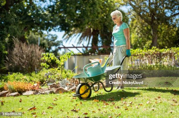庭で手押し車を押す先輩女性 - summer press day ストックフォトと画像