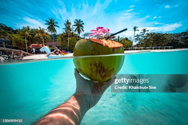 holding a coconut underwater with a girl sitting on a floating unicorn - kokosnuss stock-fotos und bilder