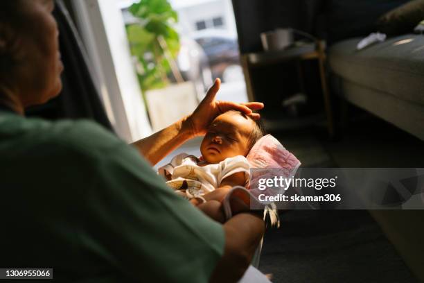 asian grandmother be loving and holding asian baby with contrast lighting at home - glamourous granny 個照片及圖片檔