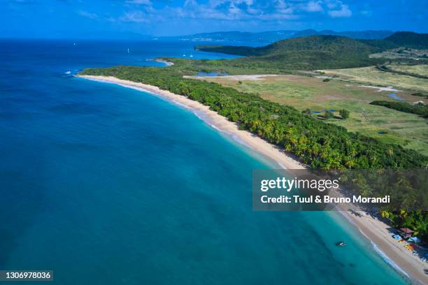 france, martinique, sainte-anne, the salines beach - saint anne stock pictures, royalty-free photos & images