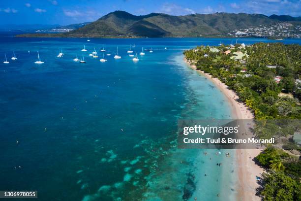 france, martinique, sainte-anne, pointe marin beach - martinique beach stock pictures, royalty-free photos & images