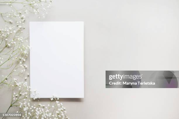 gray background with white leaves and gypsophila branches. - wedding card stock-fotos und bilder