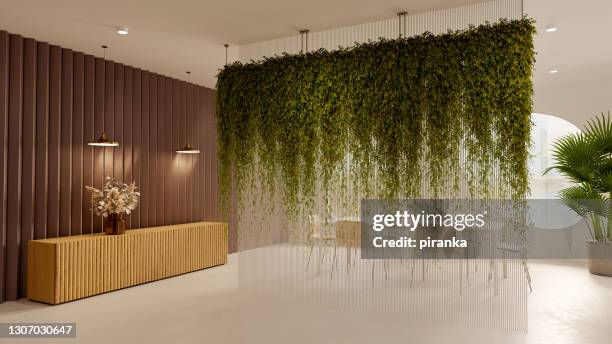 modern grön inredning - green hanging plants bildbanksfoton och bilder