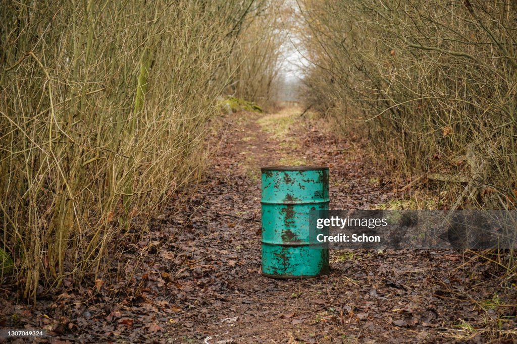 A green barrel in a dense bush in the spring