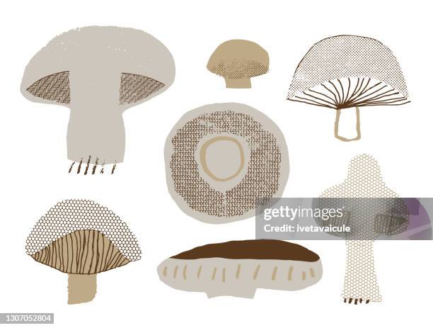 ilustrações de stock, clip art, desenhos animados e ícones de set of mushrooms - cogumelo comestível