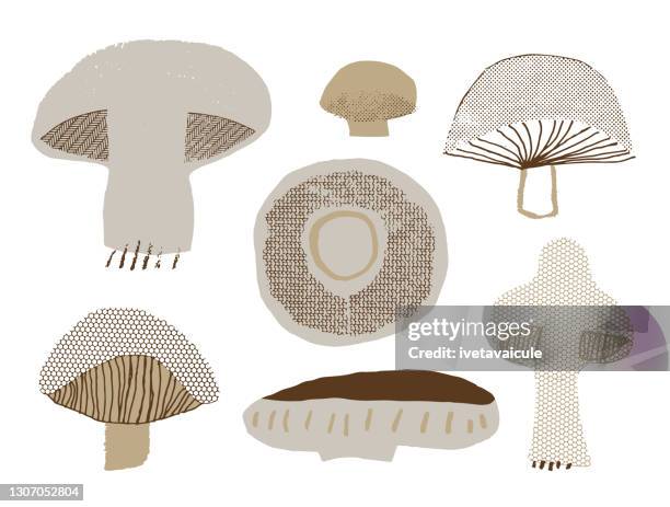 set of mushrooms - portobello mushroom on white stock illustrations