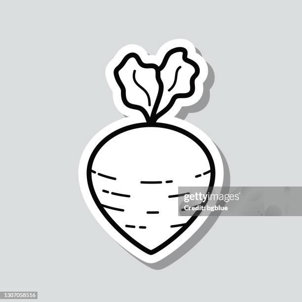 turnip. icon sticker on gray background - beet isolated stock illustrations