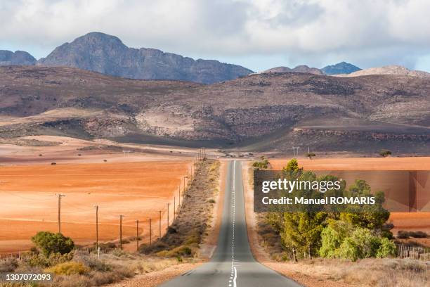 road to the mountains - garden route south africa stock pictures, royalty-free photos & images