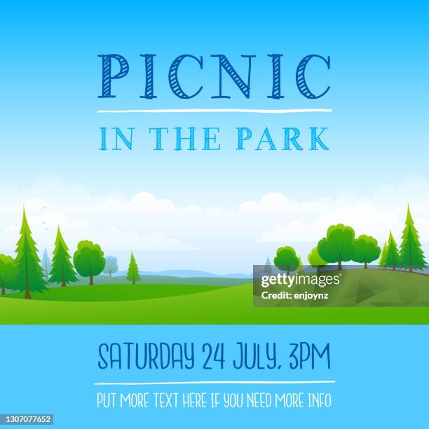 stockillustraties, clipart, cartoons en iconen met picknick in de parkposter - beschermd natuurgebied