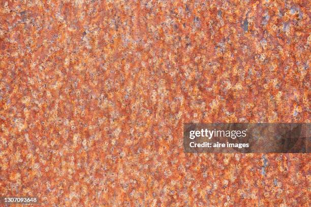 Bronze Texture Rust 73 Bronze Rust Stock Photos, High-Res Pictures, and Images - Getty Images