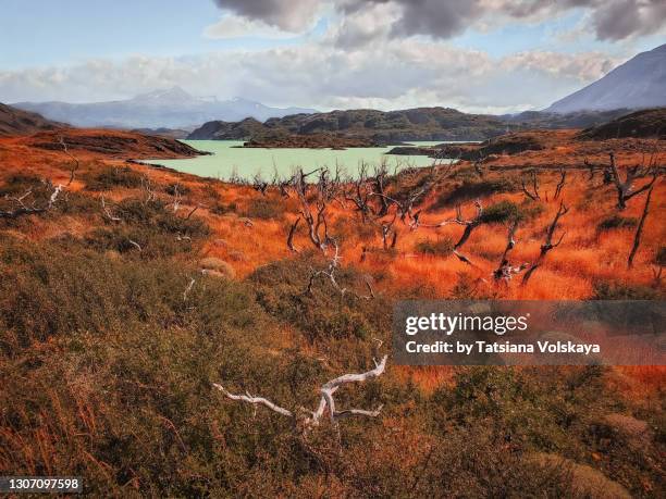 mountain view panoramic background - puerto natales stock pictures, royalty-free photos & images