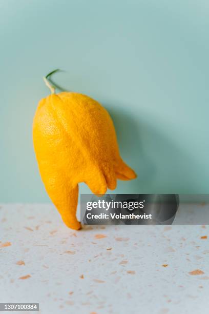 ugly lemon with rare shape like legs on a terrazzo marble in the kitchen - unvollkommenheit stock-fotos und bilder