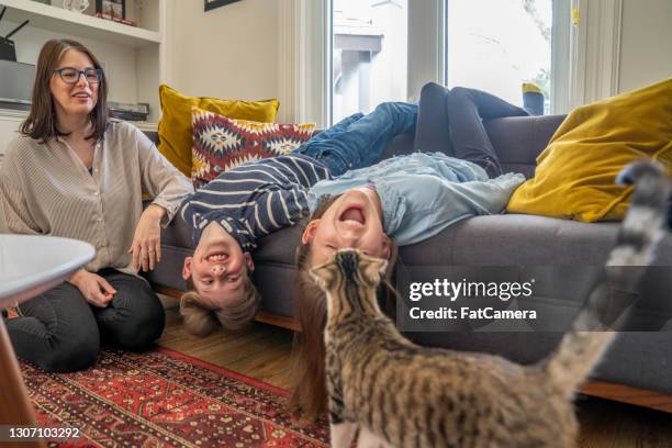 siblings hanging upside down on their sofa at home - cat hanging stock pictures, royalty-free photos & images