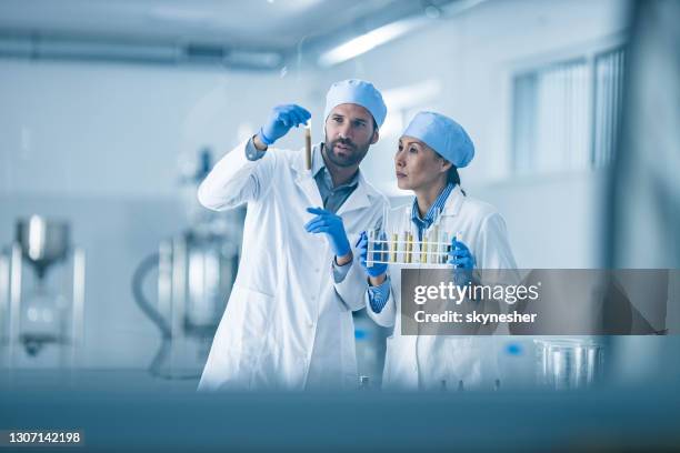 chemists cooperating while analyzing antiviral drug at laboratory. - life sciences stock pictures, royalty-free photos & images