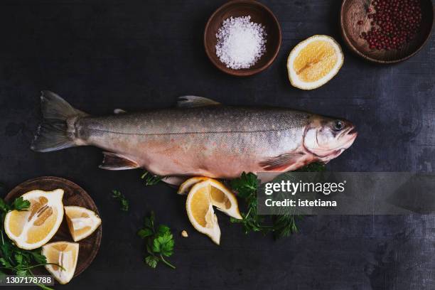 fresh salmon for cooking with ingredients - char stock pictures, royalty-free photos & images