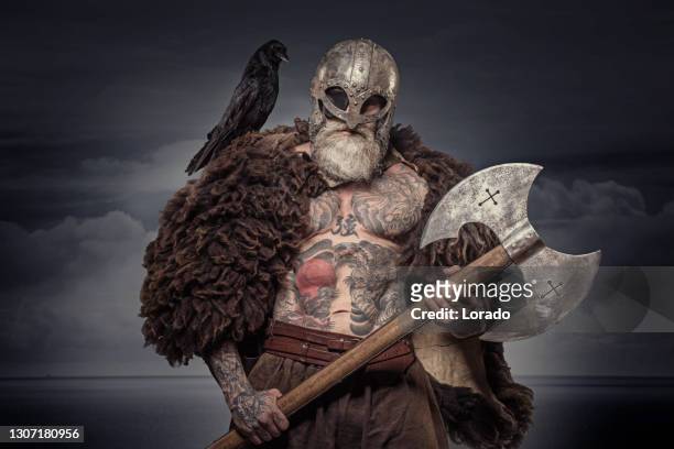 senior viking warrior berserker in bear skin in studio shot - viking warrior stock pictures, royalty-free photos & images