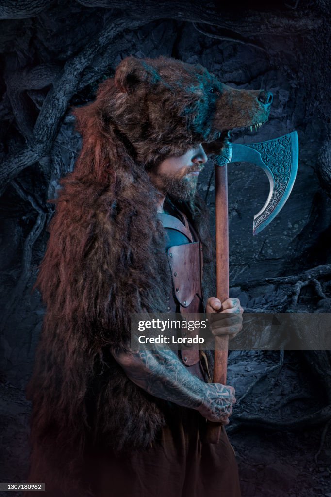Viking warrior berserker in bear skin in studio shot