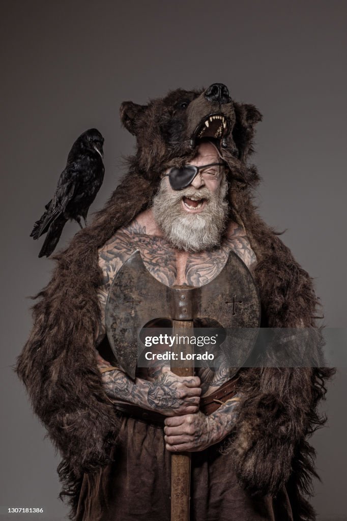 Senior Viking warrior berserker in bear skin in studio shot