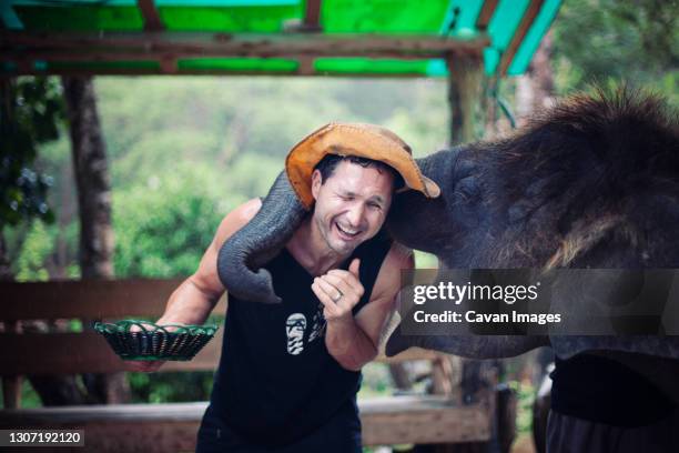 elephant kissing a man while he was being fed in thailand. - unusual stock pictures, royalty-free photos & images