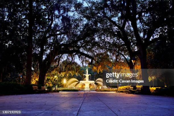 forsyth park fountain at night - savannah georgia stock pictures, royalty-free photos & images