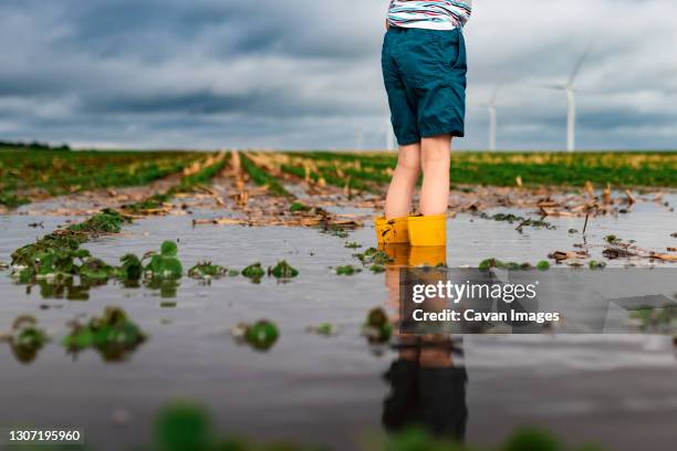 a child standing in flooded waters on a soybean field near a wind farm - pioggia torrenziale foto e immagini stock
