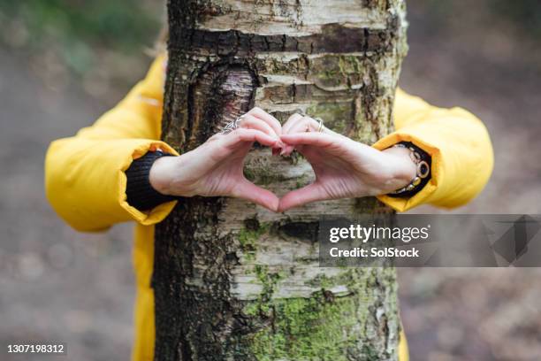 i love nature - tree hugging stock pictures, royalty-free photos & images