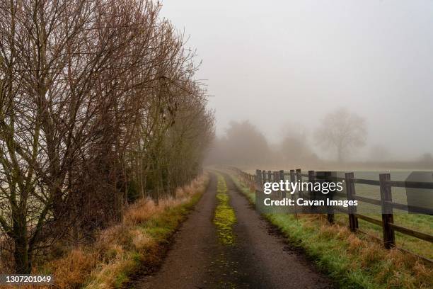 foggy morning in a farm in english countryside with leading lines tree - barrier stock pictures, royalty-free photos & images