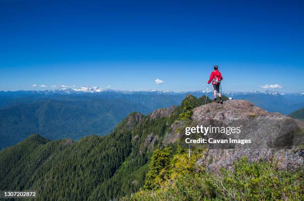 a man climbs a mountain in the colonel bob wilderness on the olympic peninsula, wa. - olympic national park stock pictures, royalty-free photos & images