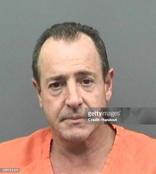 In this mug shot released by the 2011 Hillsborough County Jail, Michael Lohan poses for his mugshot after being arrested for violation of pre-trial...