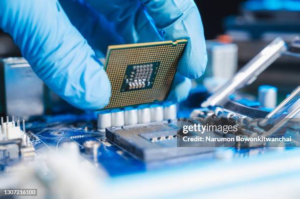 the technician laying cpu in the motherboard socket - peça de computador imagens e fotografias de stock