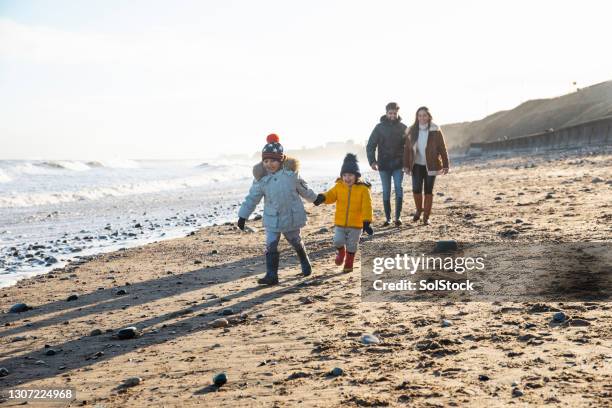 playful walks with the boys - january 5 stock pictures, royalty-free photos & images