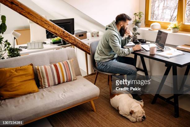il cane dorme mentre il suo proprietario lavora da casa - lavoro a domicilio foto e immagini stock