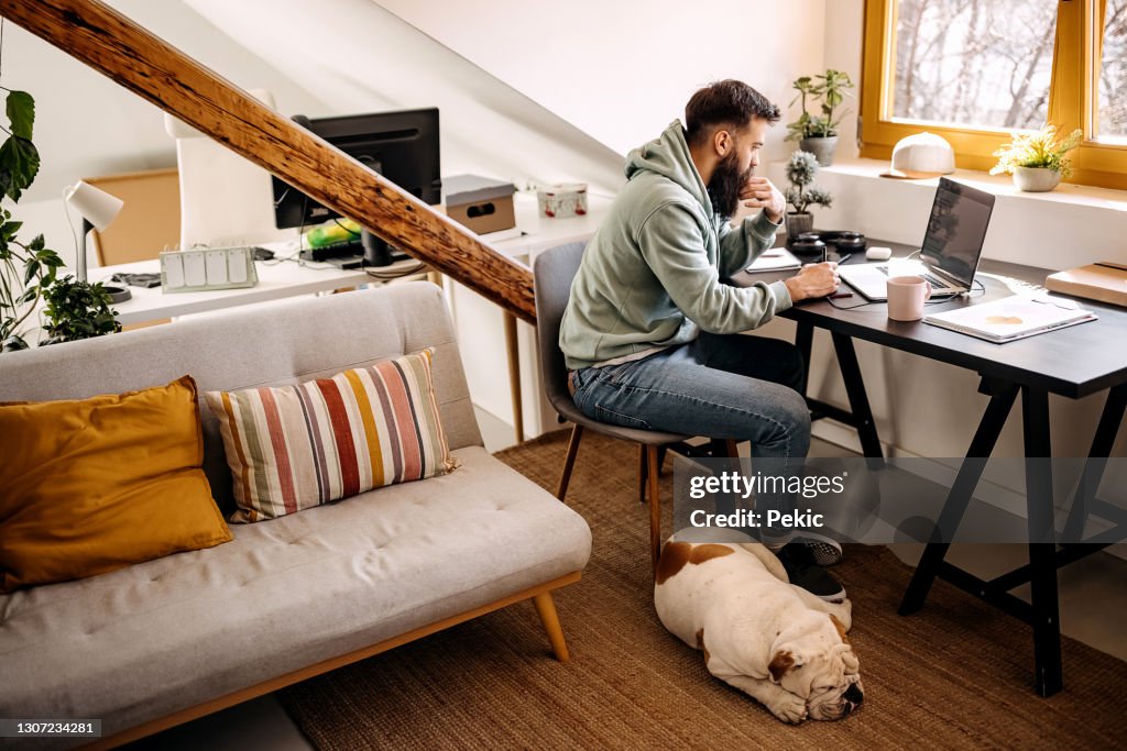 Dog is sleeping while his owner is working from home