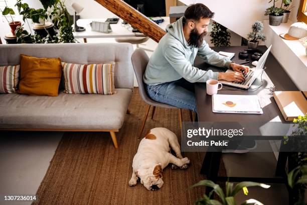 o cachorro está dormindo enquanto seu dono está trabalhando em casa. - smart working - fotografias e filmes do acervo