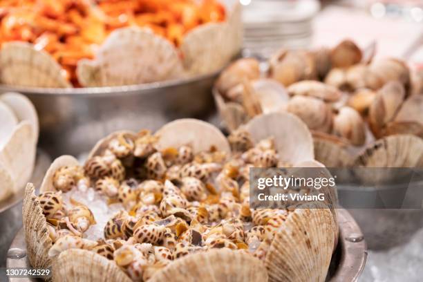 gekookte conches en garnalen op de dienbladen in het buffet - wulk stockfoto's en -beelden