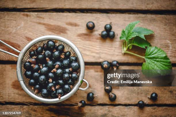 fresh black currant - blackcurrant stock pictures, royalty-free photos & images