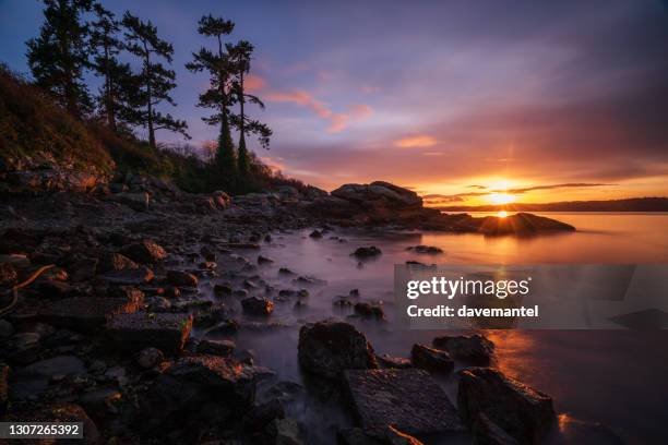 saxe point victoria bc - vancouver island fotografías e imágenes de stock