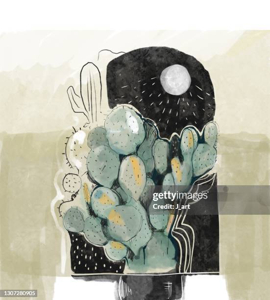 cactus plant on the moonlight. - moon drawing stock-fotos und bilder