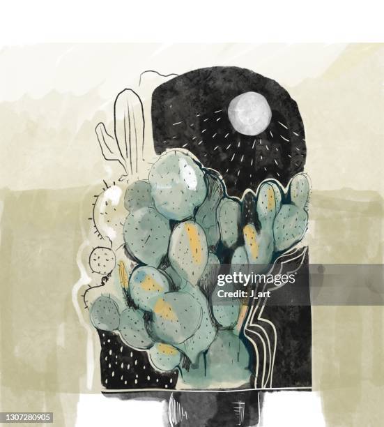 cactus plant on the moonlight. - bildnis bildbanksfoton och bilder