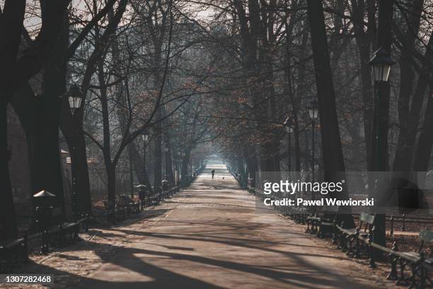 planty park in krakow - krakow park stock pictures, royalty-free photos & images
