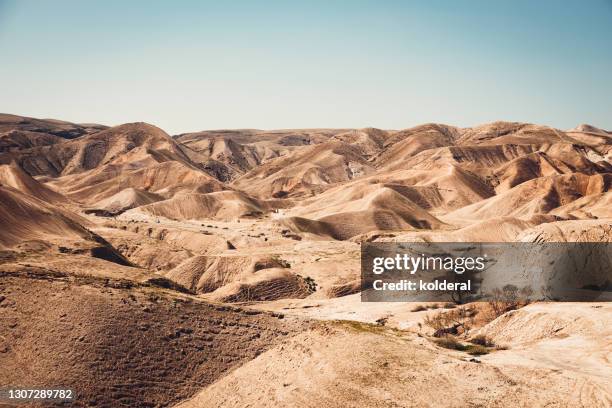 panoramic view of judean desert - jeedens öken bildbanksfoton och bilder